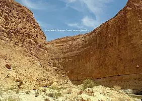 turistipercaso cultura-5ry4k