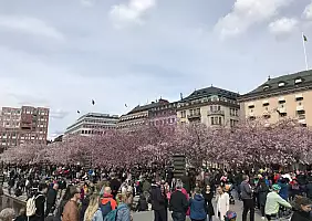 turistipercaso cultura-64a1h
