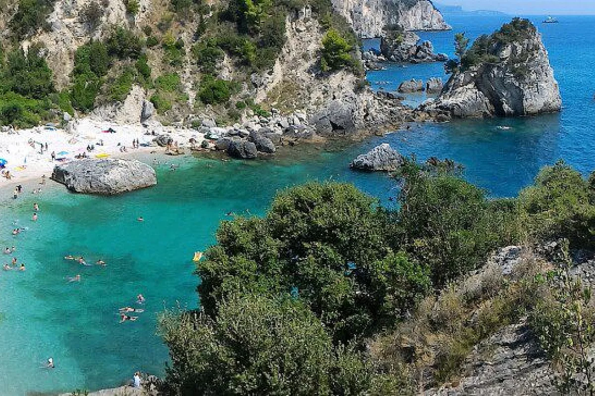 Piso Krioneri