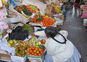 turistipercaso cultura-7ew8p