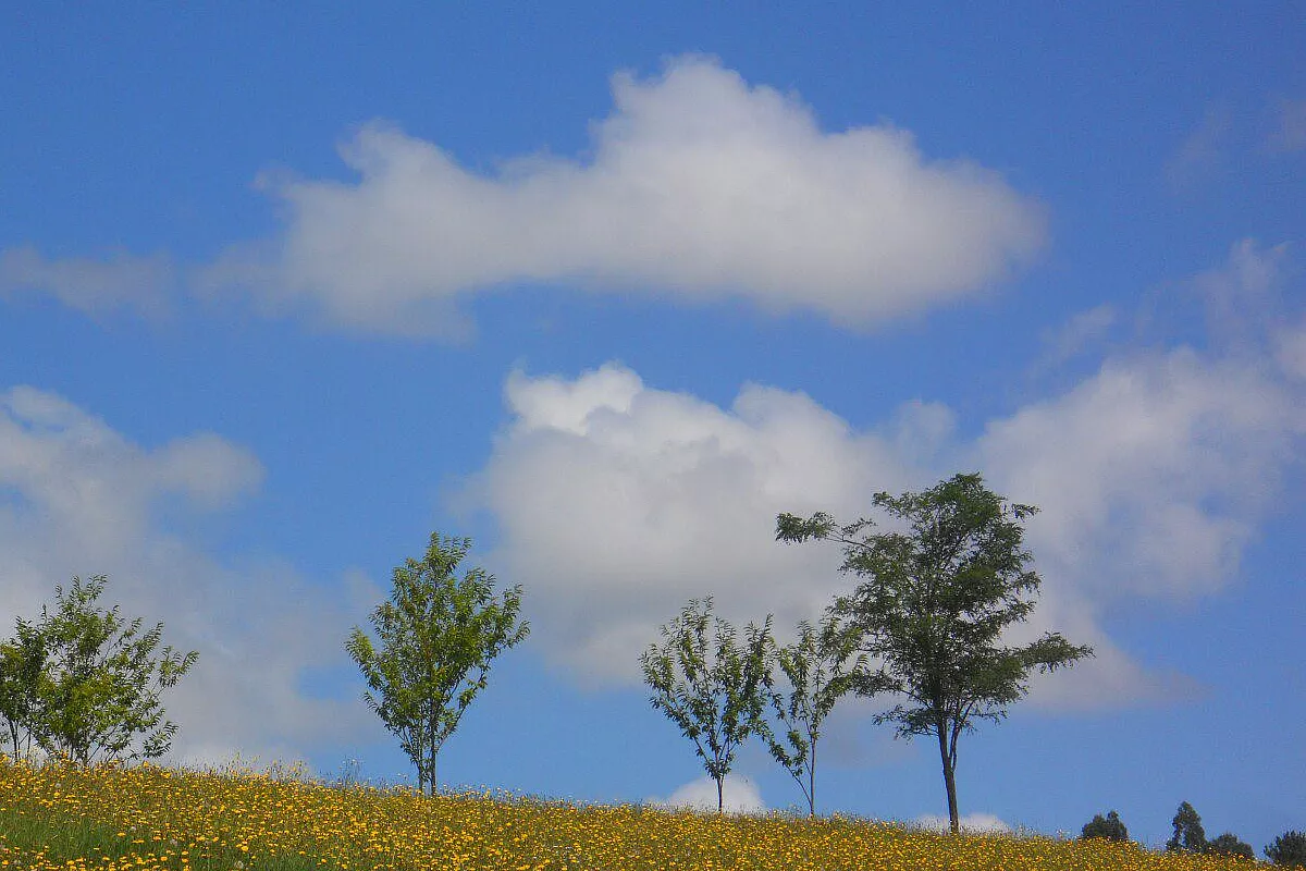 verso Santiago