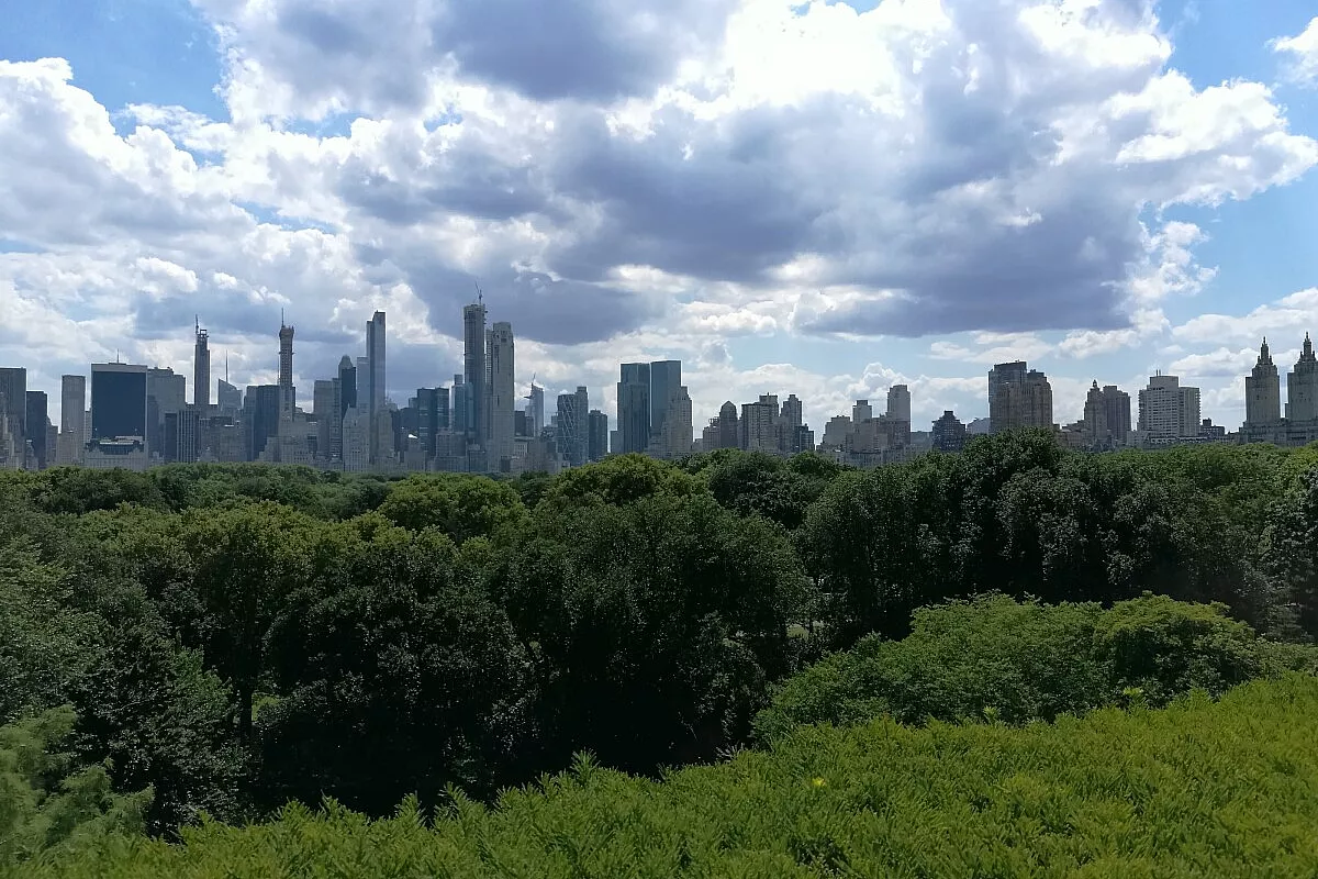IL MIO NEW YORK