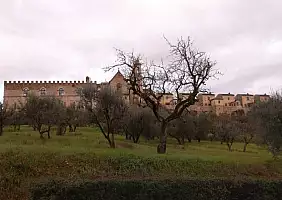 turistipercaso cultura-8g3fd