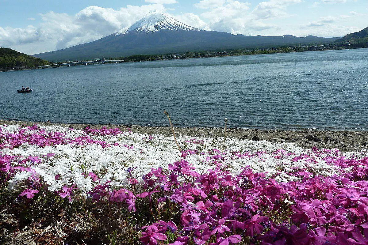 Fuji