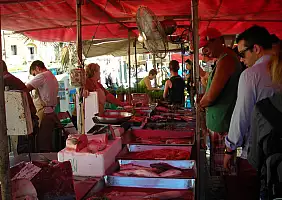 turistipercaso cultura-95bfr