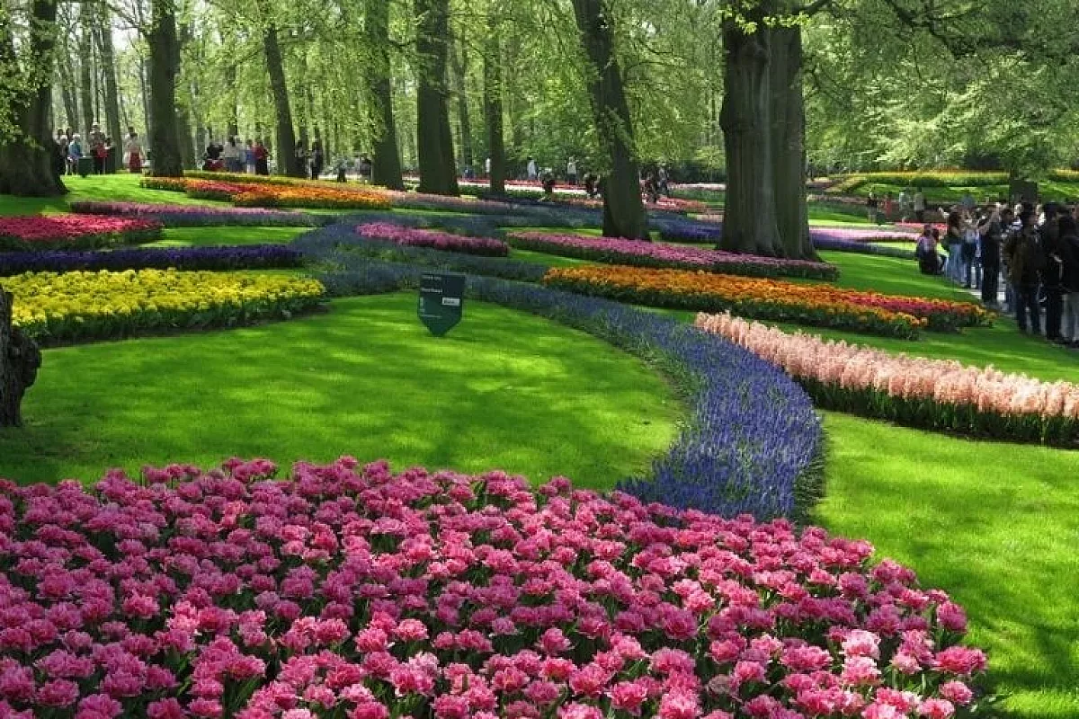 Keukenhof
