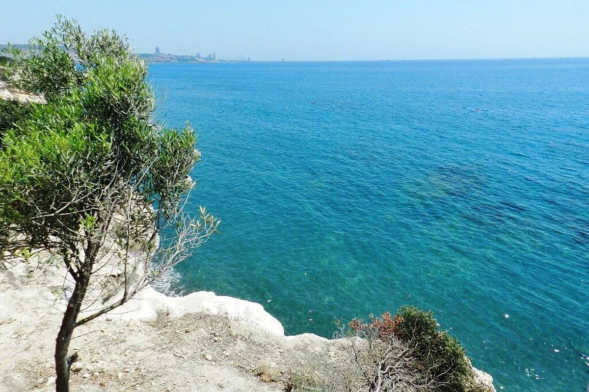 Capo Greko