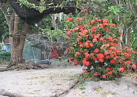 turistipercaso cultura-a86ud