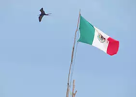 turistipercaso cultura-abg6v