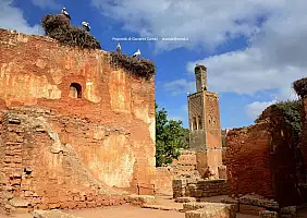 turistipercaso cultura-an4sa