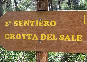 turistipercaso cultura-avpvd