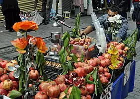 turistipercaso cultura-awvxq