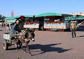 turistipercaso cultura-b1g8p