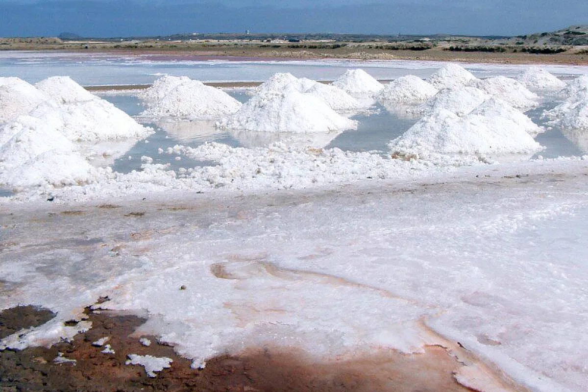 Santa Maria - saline