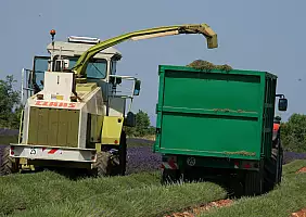 turistipercaso cultura-baw5p