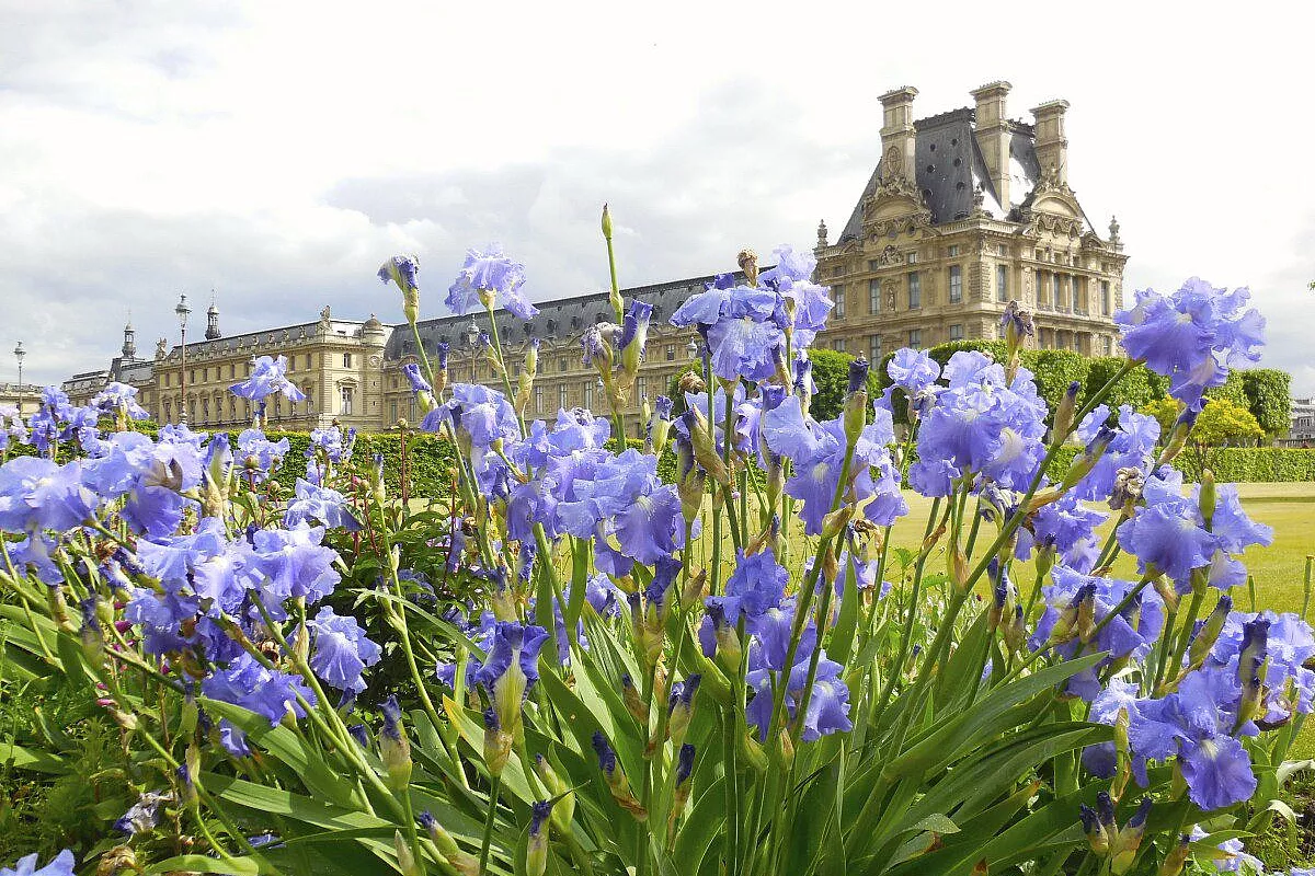 Louvre in fiore