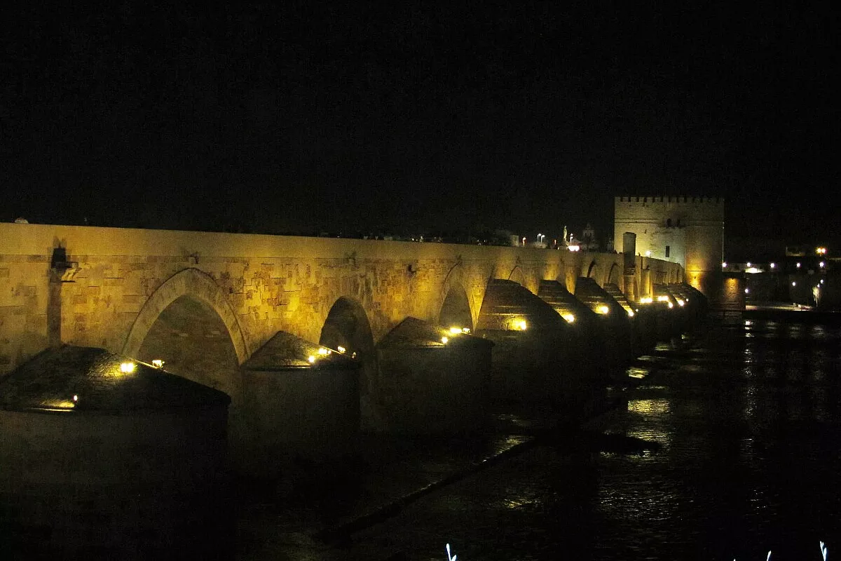 8 notturno