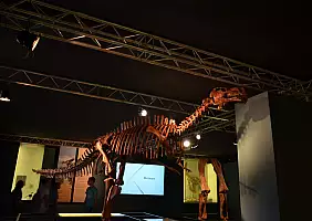 turistipercaso cultura-cxq99
