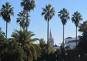 turistipercaso cultura-cyxth