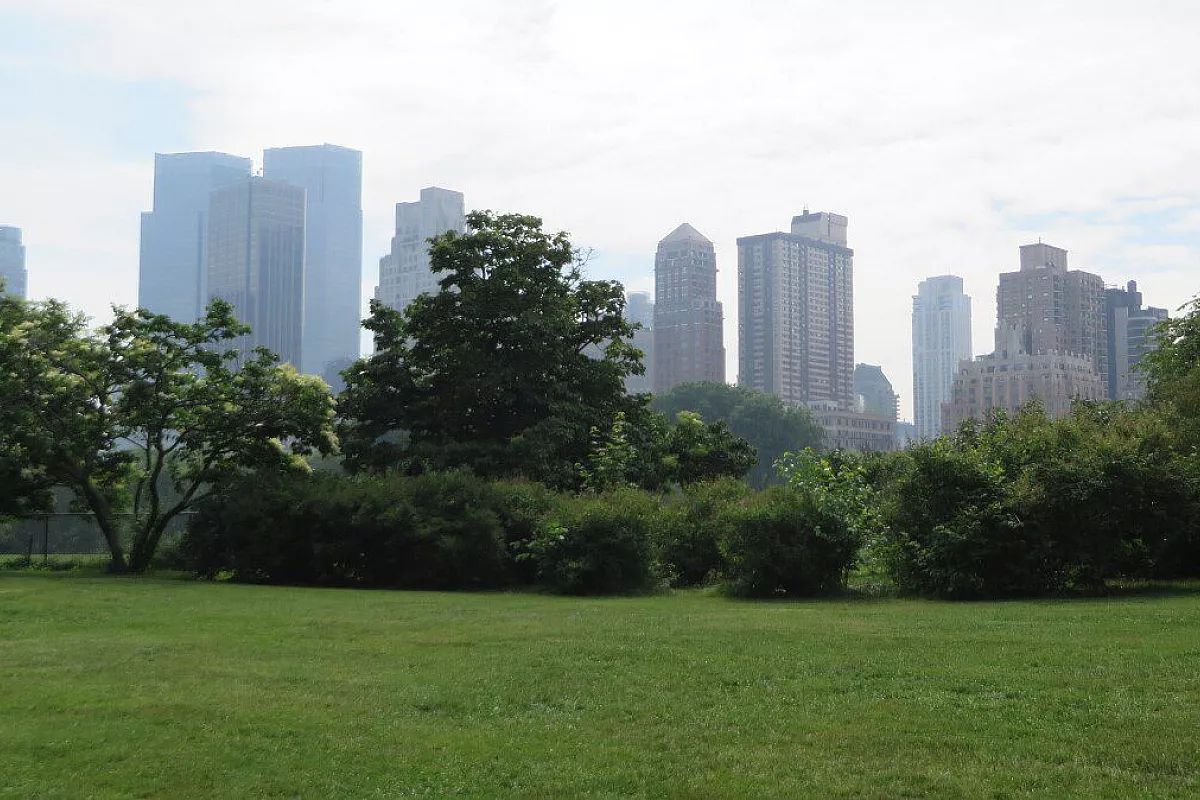 Central Park
