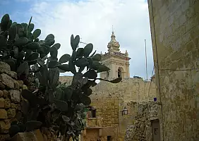 turistipercaso cultura-dws6u