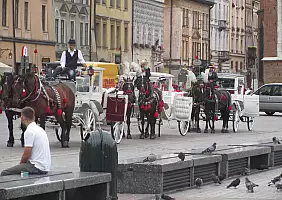turistipercaso cultura-eb9nz