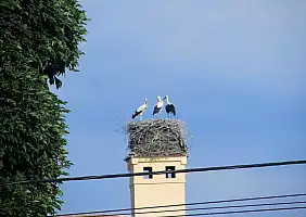 turistipercaso cultura-eckq2