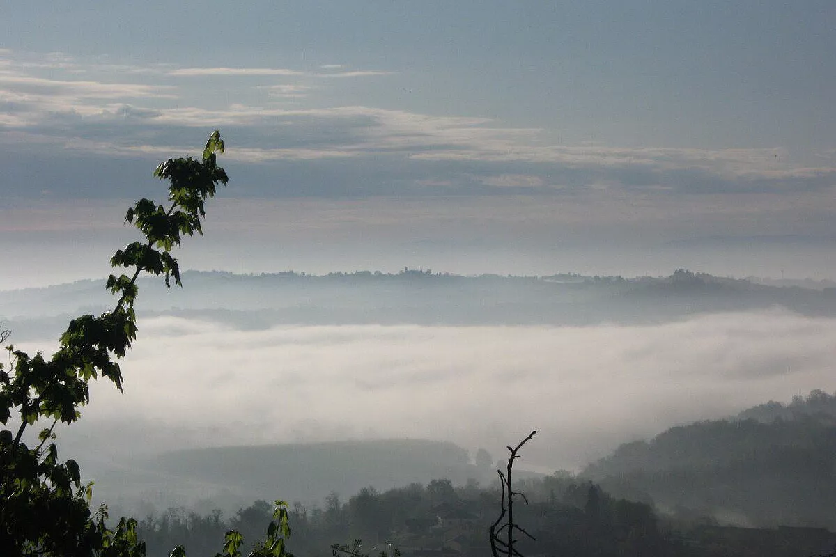 La nebbia (splendida) sul Monferrato