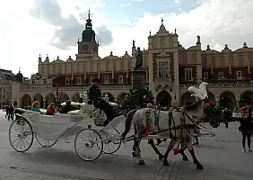 turistipercaso cultura-evnnu