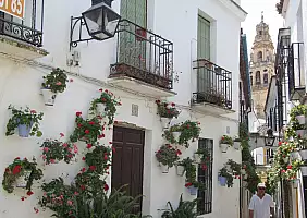 turistipercaso cultura-f3b6q