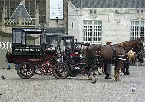 turistipercaso cultura-fc42b