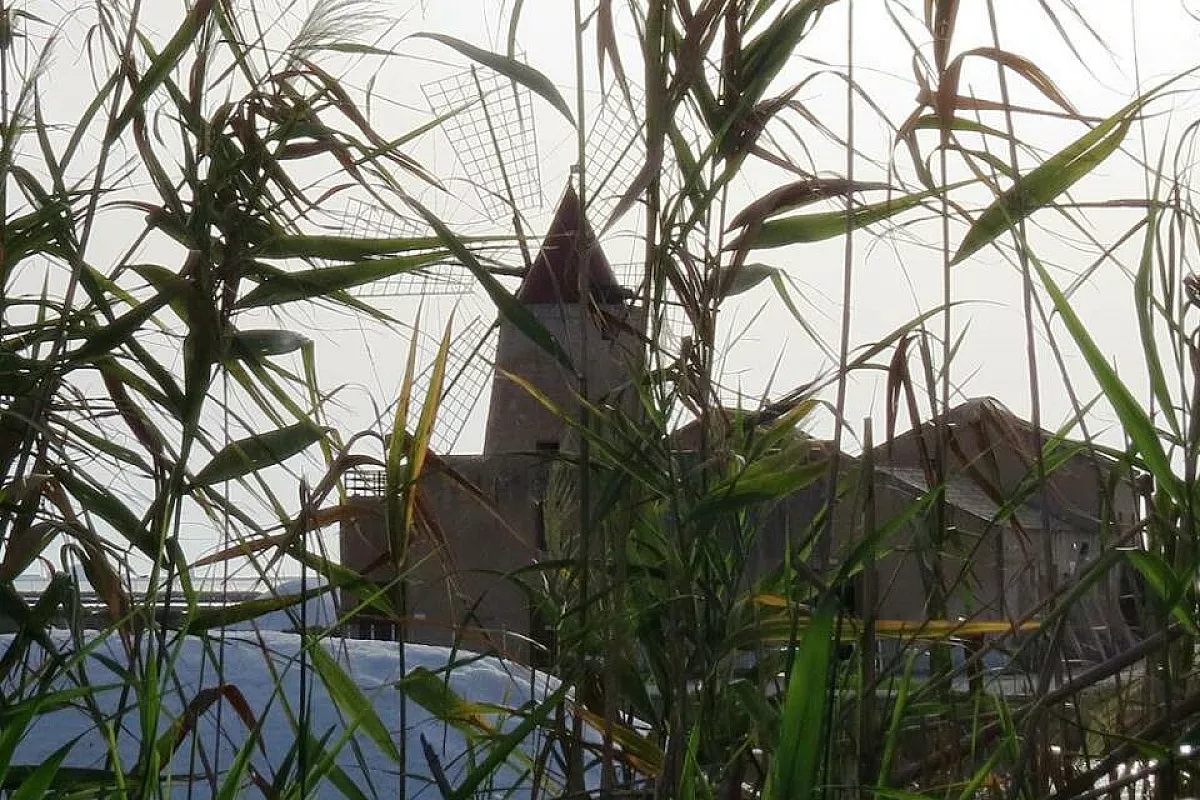 DA SAN VITO LO CAPO A MAZARA DEL VALLO