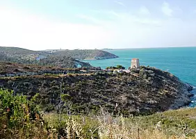 turistipercaso cultura-fzxxj