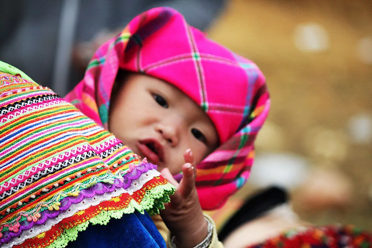 Vietnam da Nord a Sud