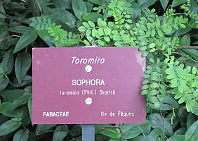 turistipercaso cultura-gm22w
