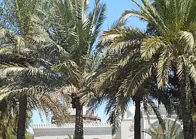 turistipercaso cultura-h7rk4