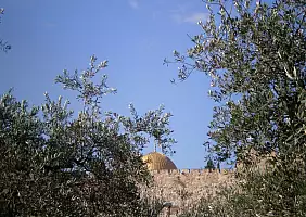turistipercaso cultura-heuw3