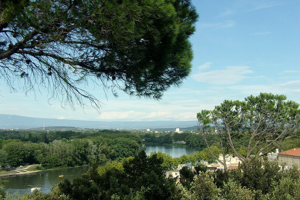 Avignon
