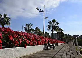 turistipercaso cultura-hzkvh