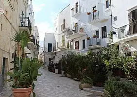 turistipercaso cultura-j9st4