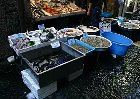 turistipercaso cultura-jpadu