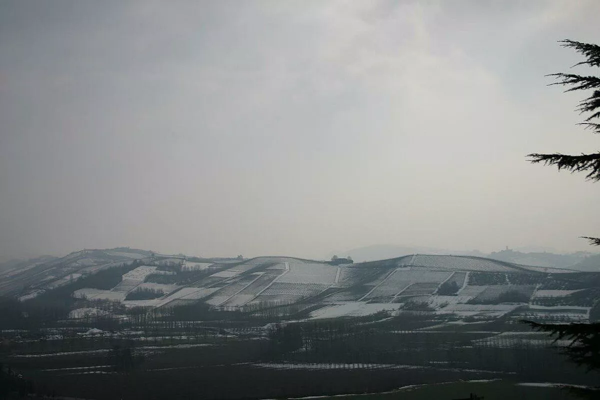 Panorama delle Langhe