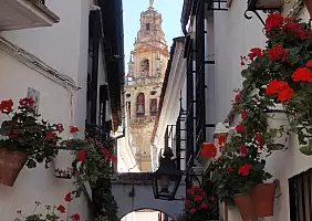 turistipercaso cultura-jq39k