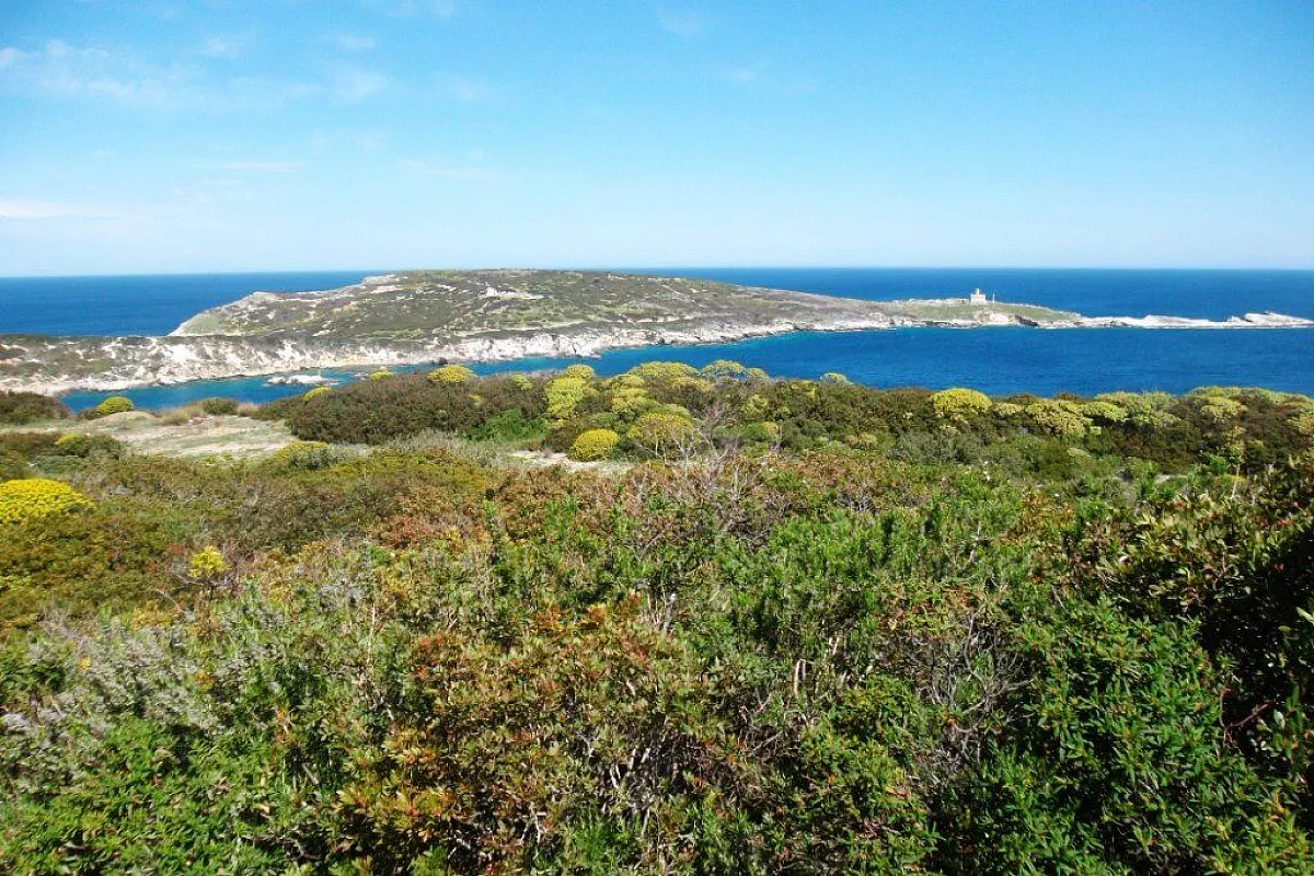 Vista della disabitata isola di Caprara dall’isola di San Nicola