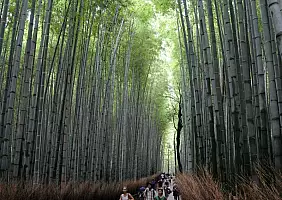 turistipercaso cultura-k1saq