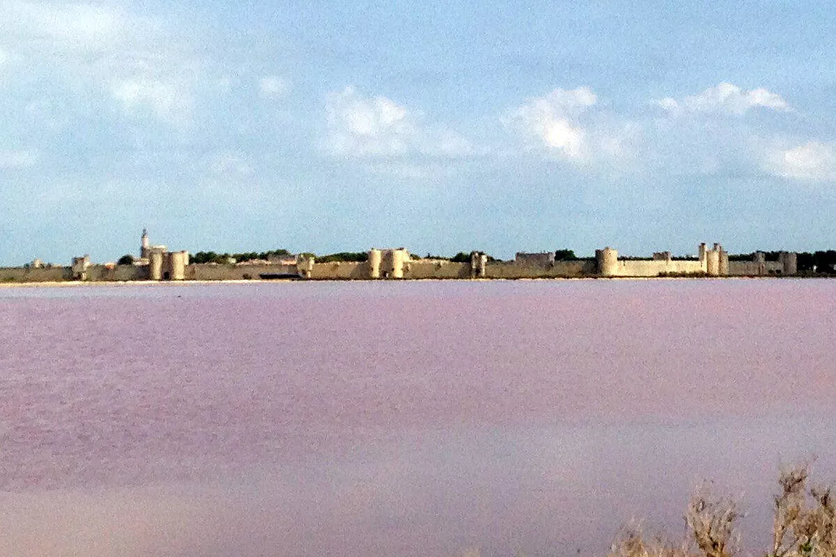 Qualche giorno in Camargue