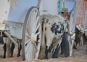 turistipercaso cultura-knqvr