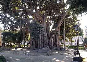 turistipercaso cultura-knzh1