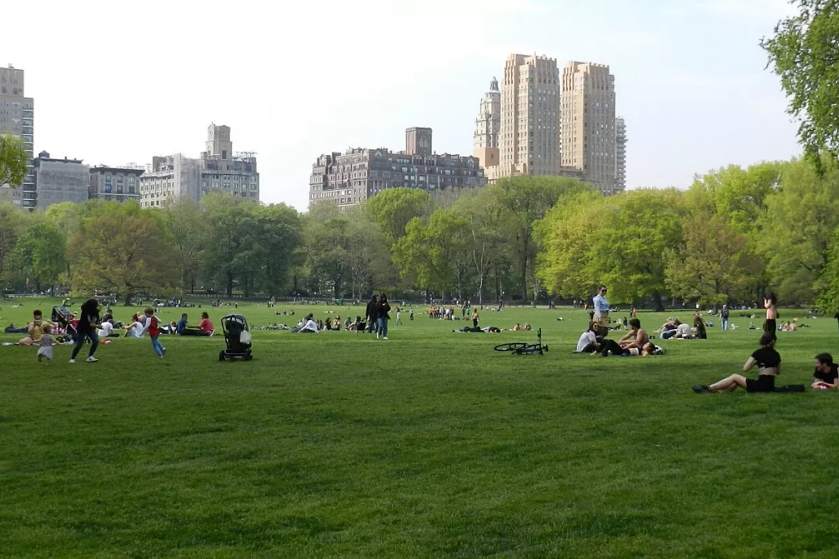 Central Park