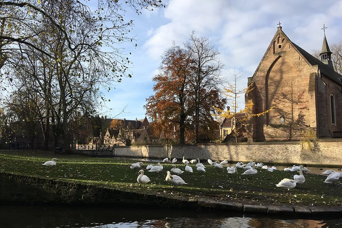 Il foliage a Bruges